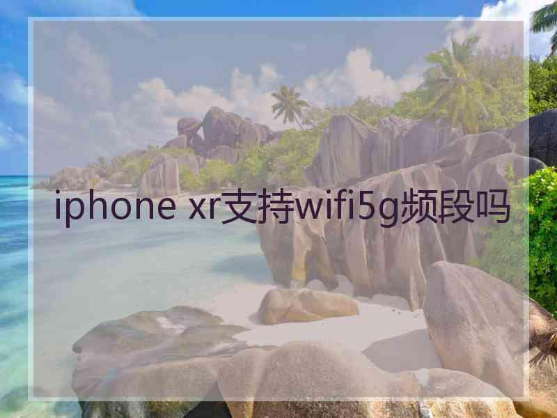 iphone xr支持wifi5g频段吗