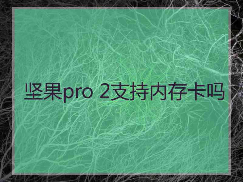 坚果pro 2支持内存卡吗