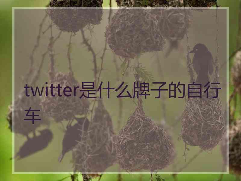 twitter是什么牌子的自行车