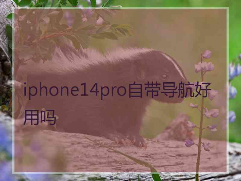 iphone14pro自带导航好用吗