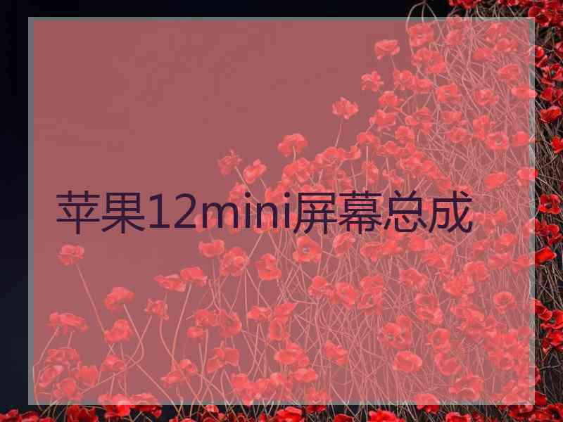 苹果12mini屏幕总成