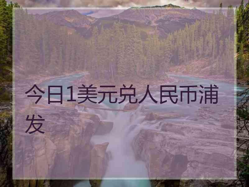 今日1美元兑人民币浦发