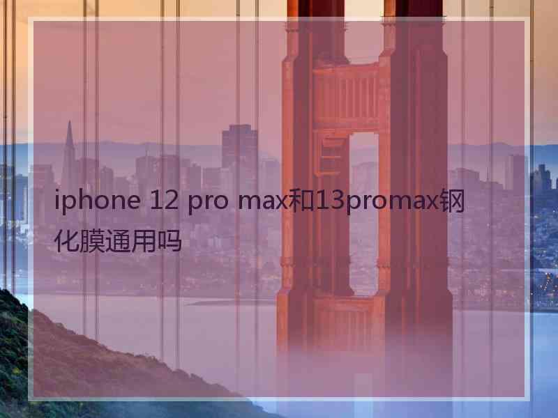 iphone 12 pro max和13promax钢化膜通用吗