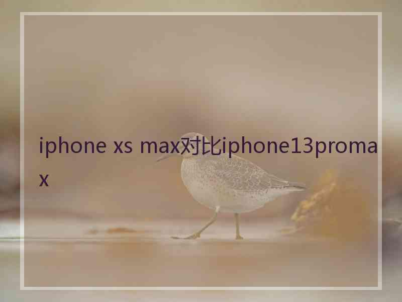 iphone xs max对比iphone13promax