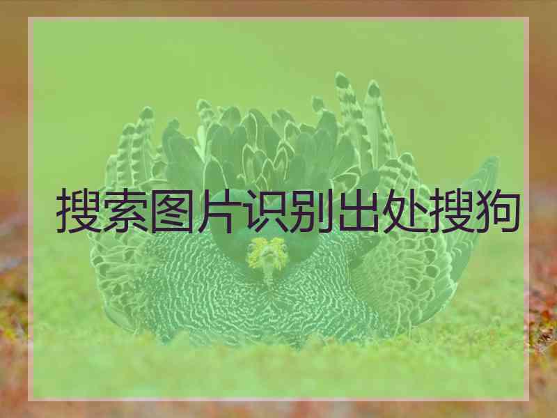 搜索图片识别出处搜狗