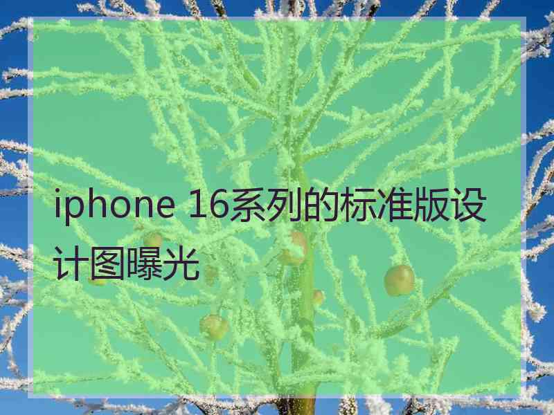 iphone 16系列的标准版设计图曝光