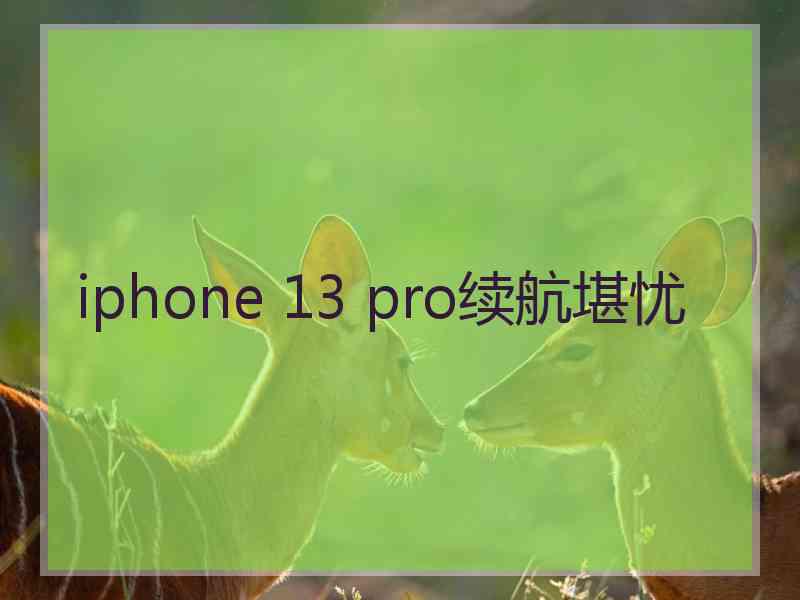 iphone 13 pro续航堪忧