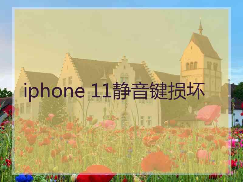 iphone 11静音键损坏