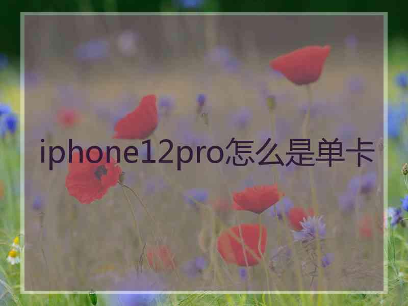 iphone12pro怎么是单卡