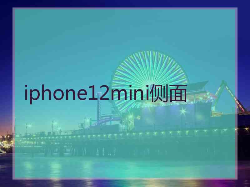 iphone12mini侧面