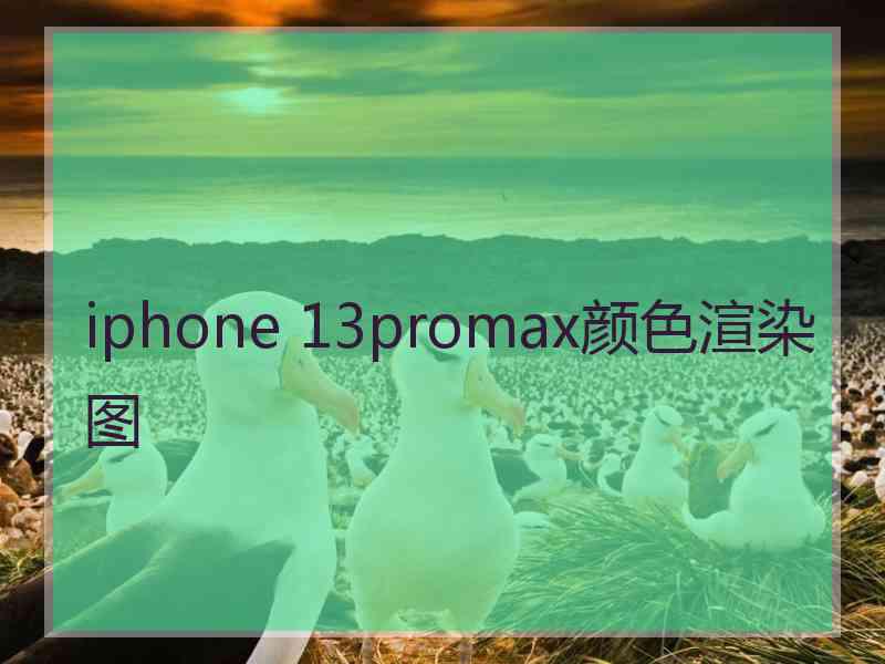 iphone 13promax颜色渲染图