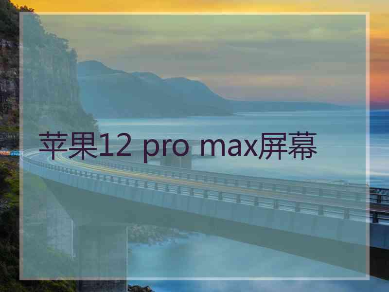 苹果12 pro max屏幕