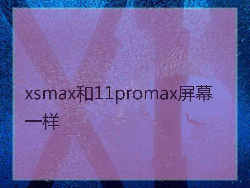 xsmax和11promax屏幕一样