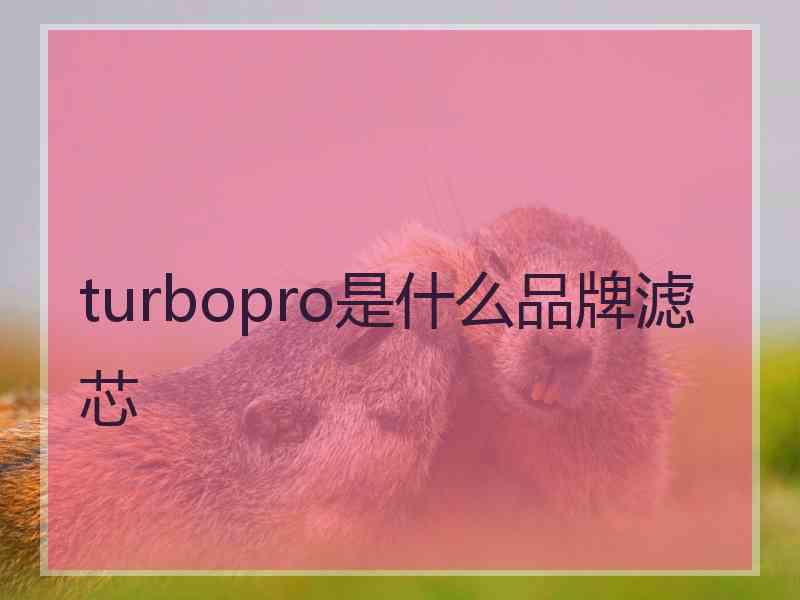 turbopro是什么品牌滤芯