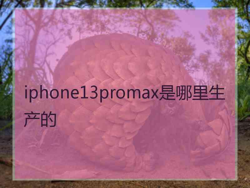 iphone13promax是哪里生产的