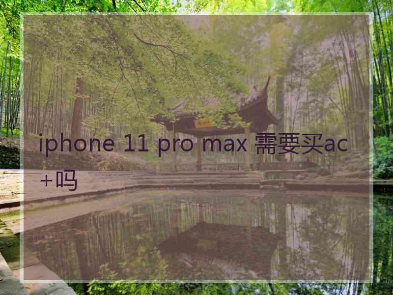 iphone 11 pro max 需要买ac+吗