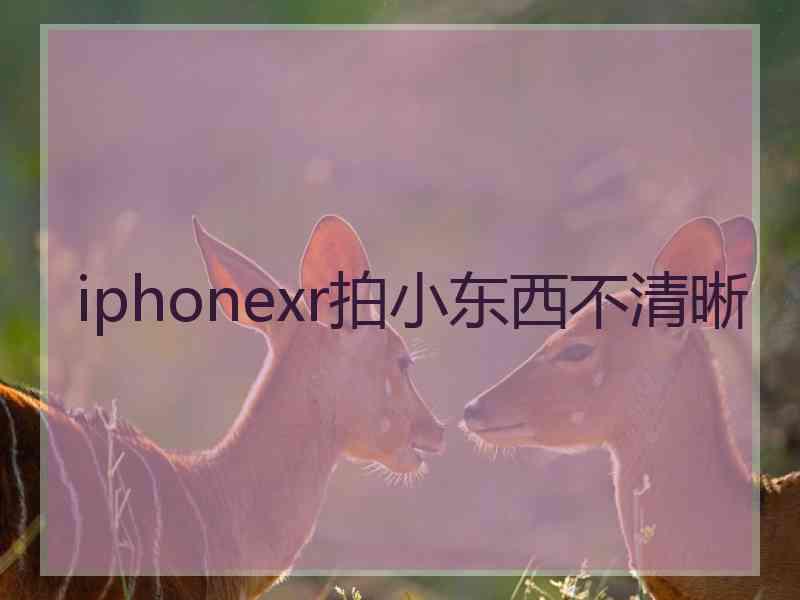 iphonexr拍小东西不清晰