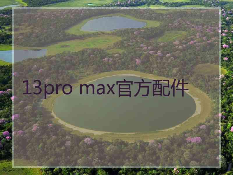 13pro max官方配件