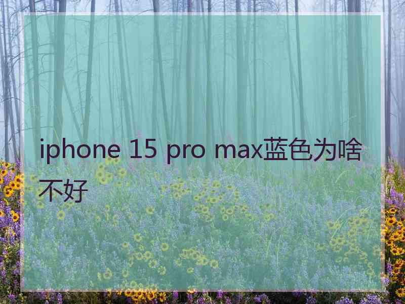 iphone 15 pro max蓝色为啥不好