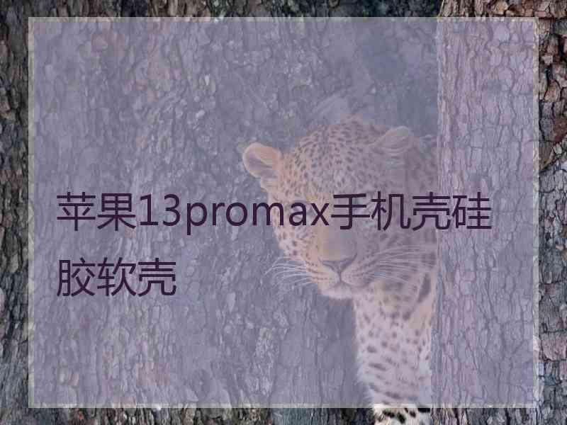 苹果13promax手机壳硅胶软壳