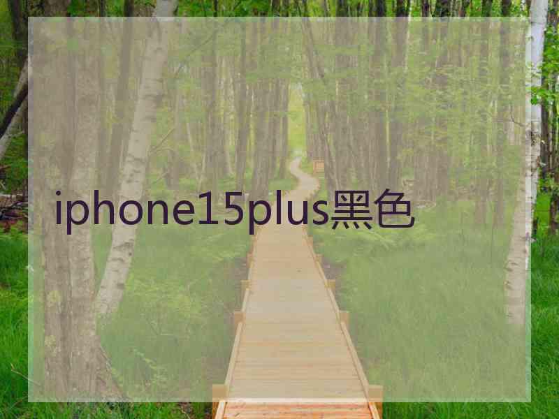 iphone15plus黑色