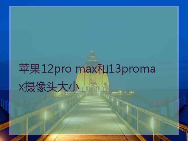 苹果12pro max和13promax摄像头大小