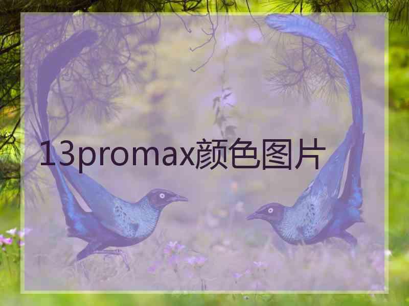 13promax颜色图片