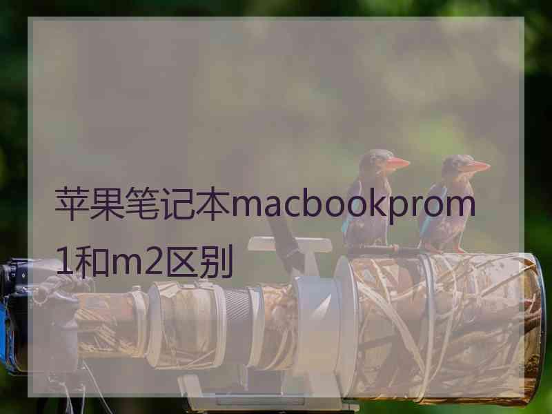 苹果笔记本macbookprom1和m2区别