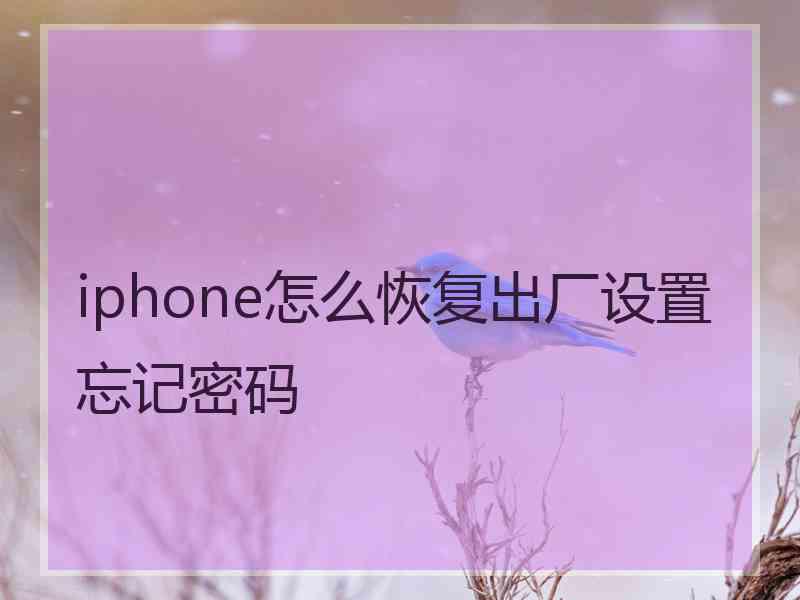 iphone怎么恢复出厂设置忘记密码