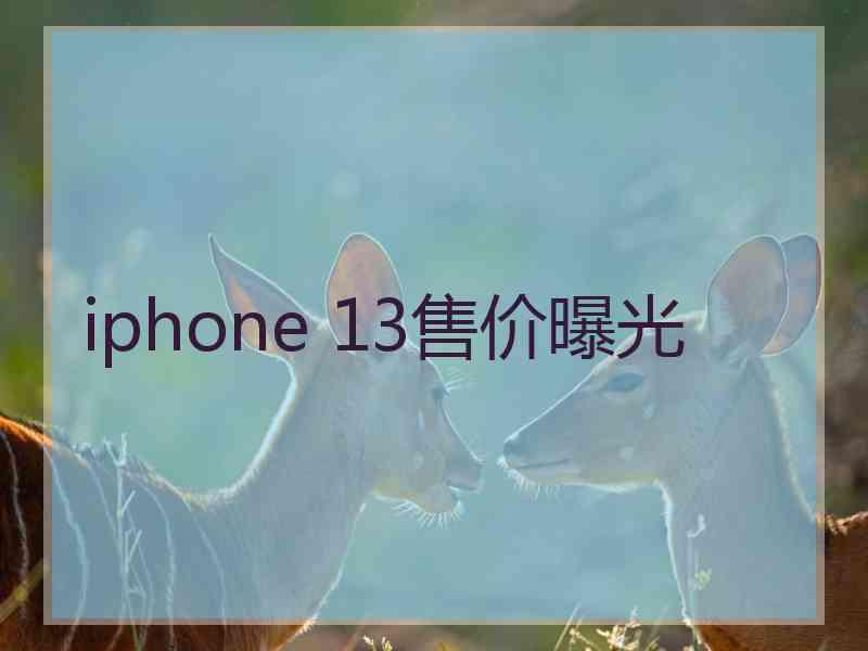 iphone 13售价曝光