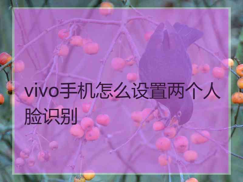 vivo手机怎么设置两个人脸识别