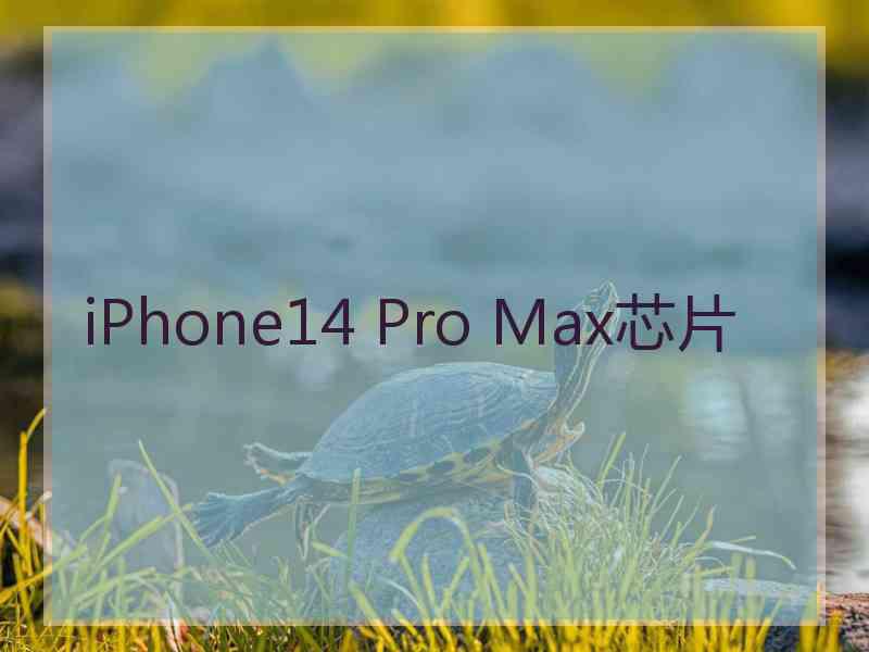 iPhone14 Pro Max芯片