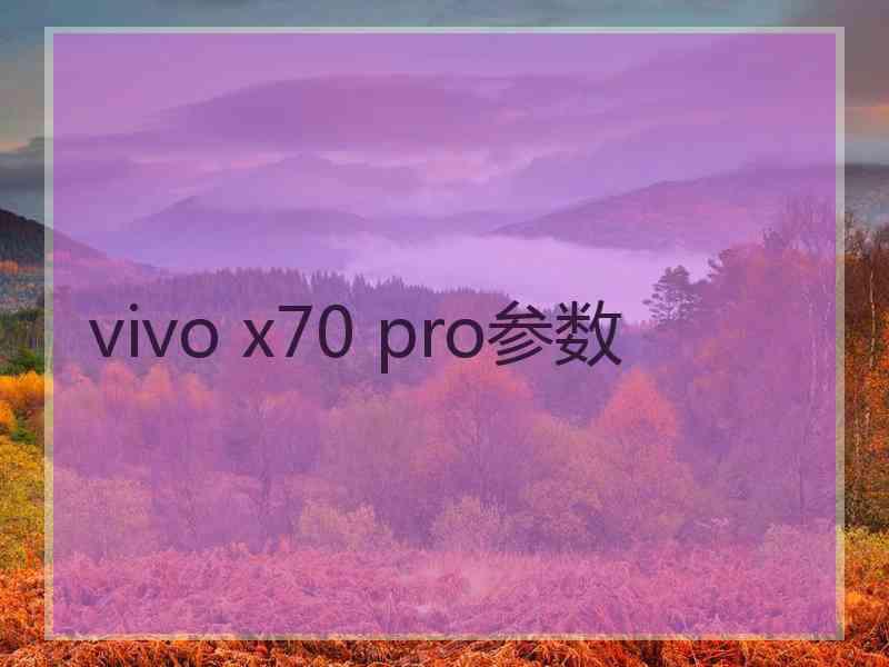 vivo x70 pro参数