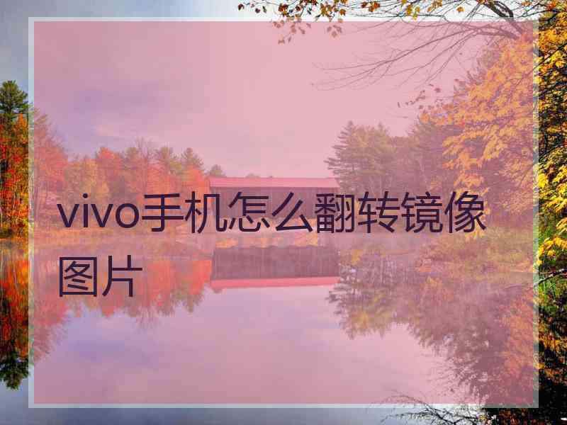 vivo手机怎么翻转镜像图片