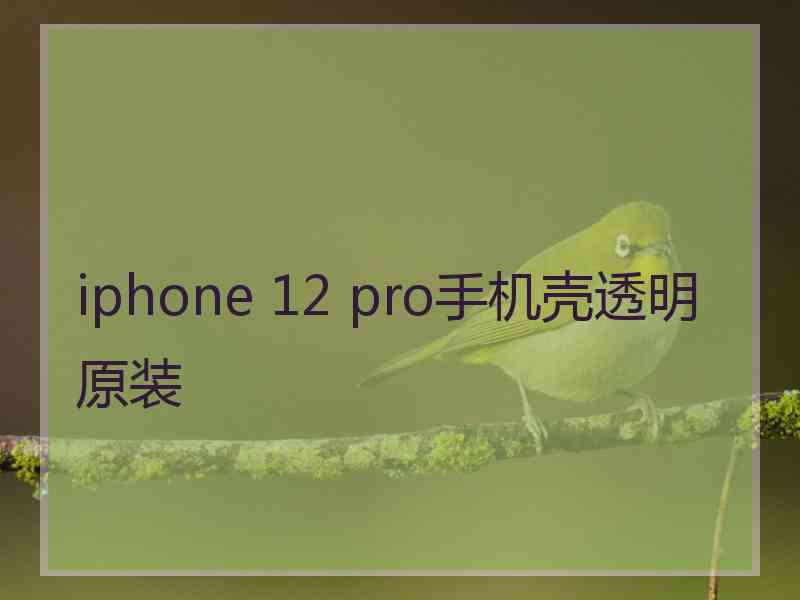 iphone 12 pro手机壳透明原装