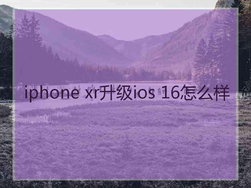 iphone xr升级ios 16怎么样