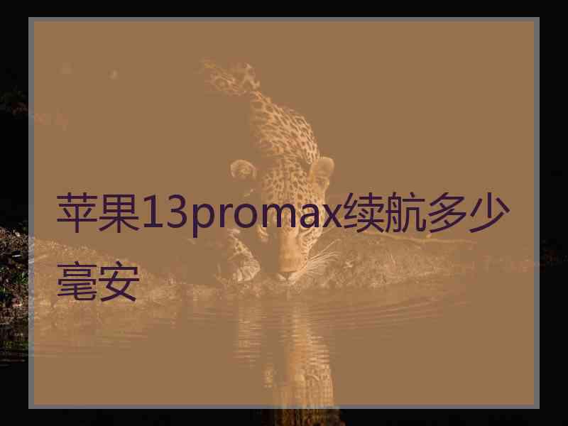 苹果13promax续航多少毫安