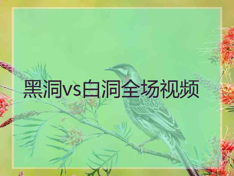 黑洞vs白洞全场视频