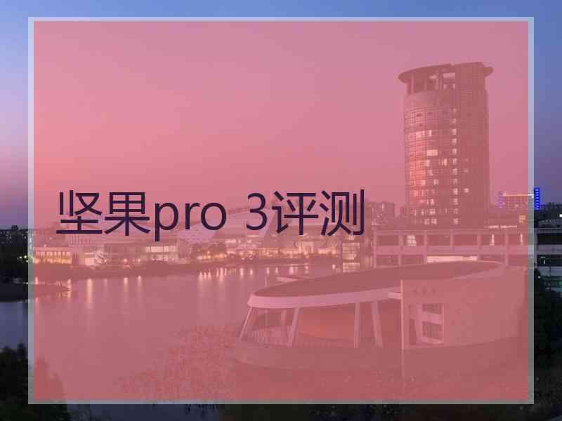 坚果pro 3评测