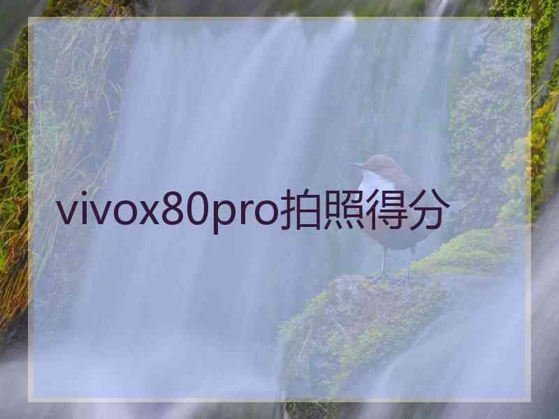 vivox80pro拍照得分