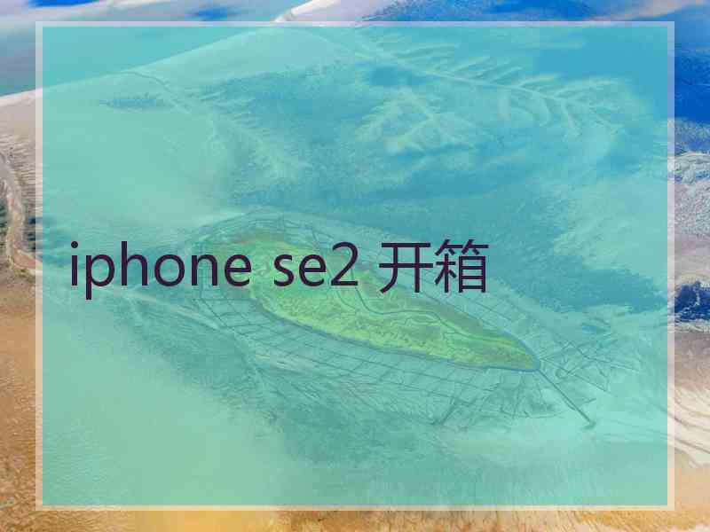 iphone se2 开箱