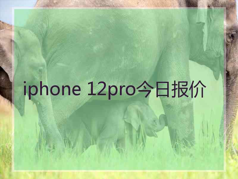 iphone 12pro今日报价