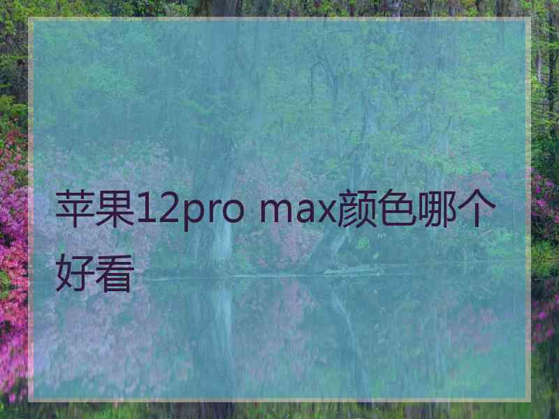 苹果12pro max颜色哪个好看