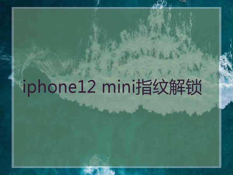 iphone12 mini指纹解锁