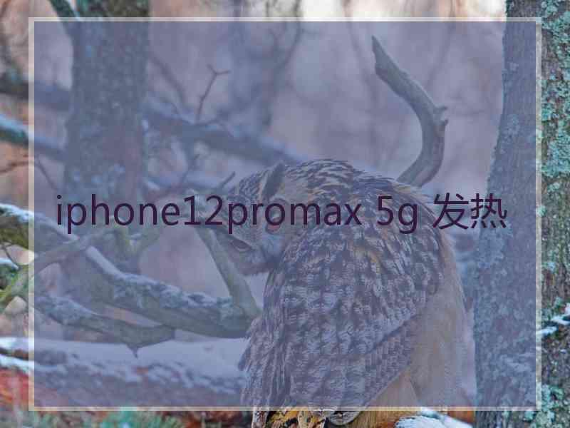 iphone12promax 5g 发热