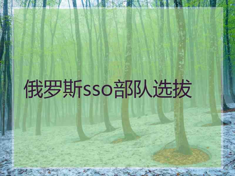 俄罗斯sso部队选拔