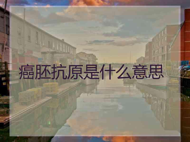 癌胚抗原是什么意思