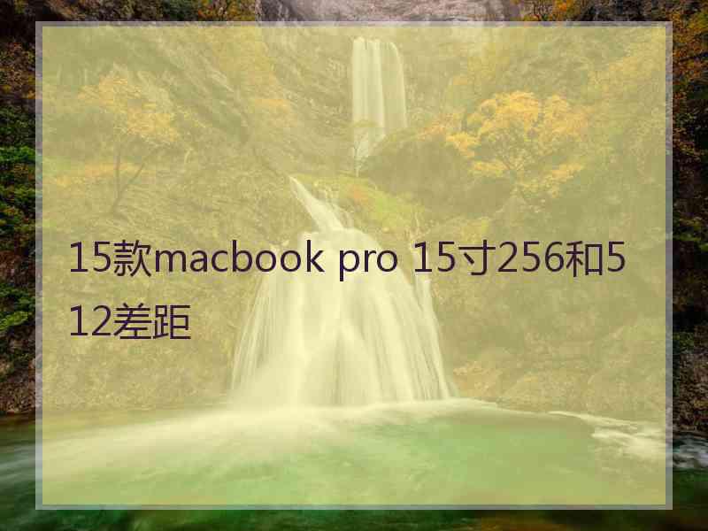 15款macbook pro 15寸256和512差距