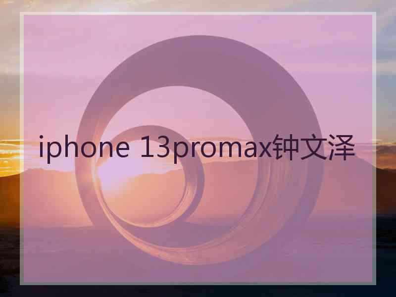 iphone 13promax钟文泽