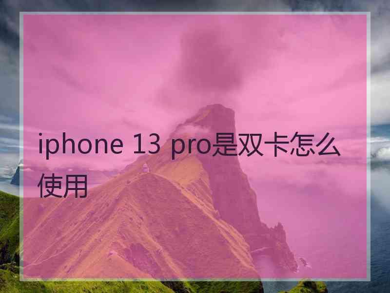 iphone 13 pro是双卡怎么使用